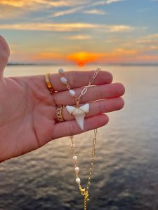 How to Make Shark Tooth Necklace: Craft Your Own插图1