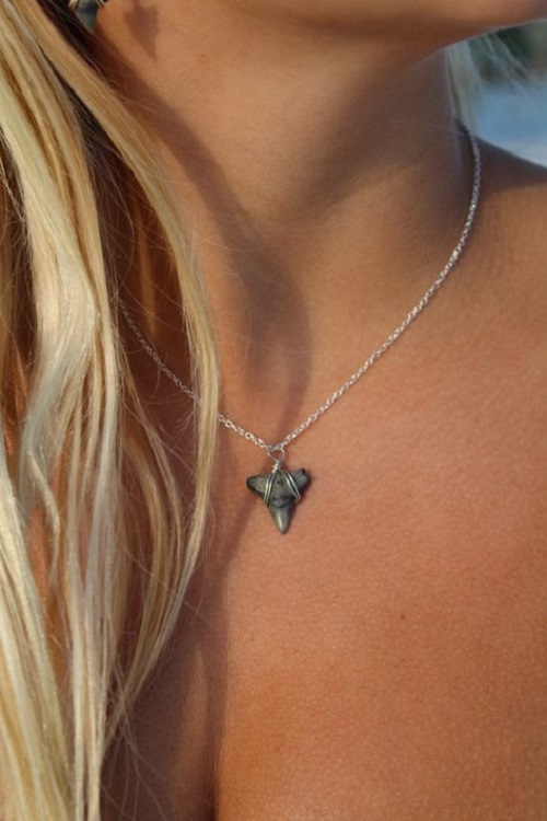 Create a Shark Tooth Necklace