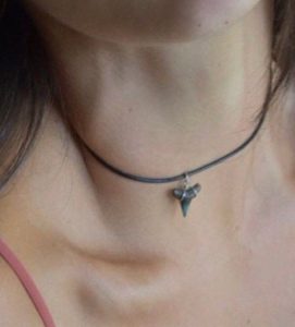 How to Make Shark Tooth Necklace: Craft Your Own插图2