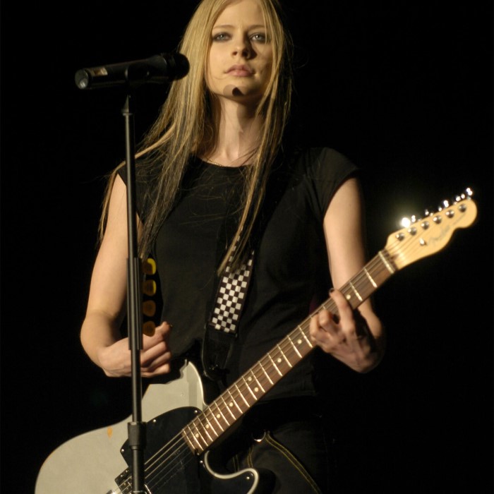 avril lavigne guitar